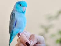 Vol.52 東京都江東区 K様