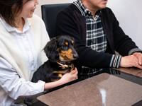 Vol.74 東京都渋谷区 T様