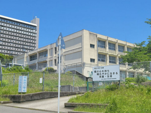 堺市立槇塚台小学校