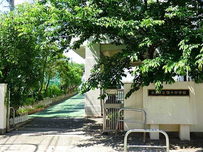 文京区立第十中学校の戸建情報